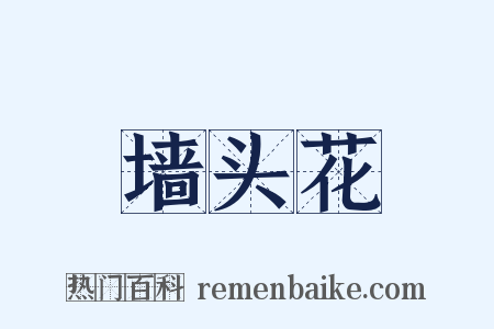 墙头花是什么意思的图片